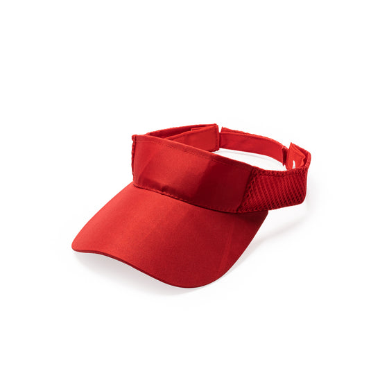 Visor WIZER